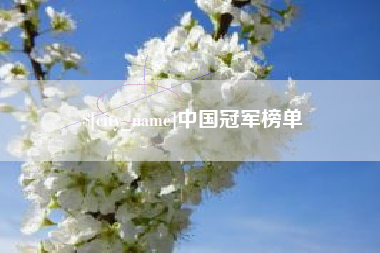 铁岭中国冠军榜单