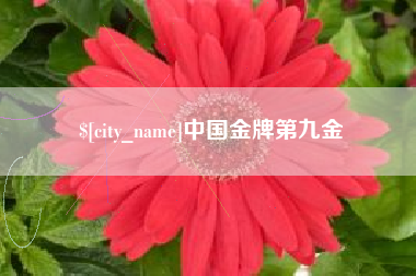 铁岭中国金牌第九金