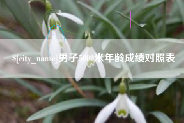 铁岭男子5000米年龄成绩对照表