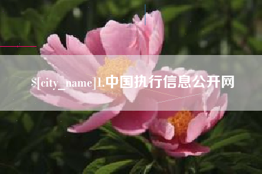 铁岭1.中国执行信息公开网