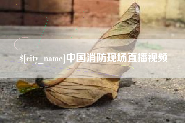 铁岭中国消防现场直播视频