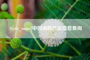 铁岭中国消防产品信息查询