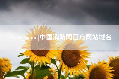 铁岭中国消防网官方网站域名