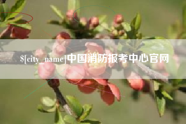 铁岭中国消防报考中心官网