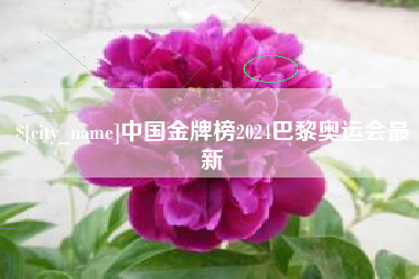 铁岭中国金牌榜2024巴黎奥运会最新