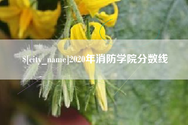 铁岭2020年消防学院分数线