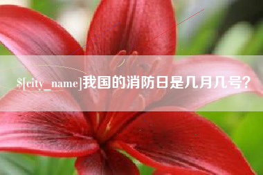 铁岭我国的消防日是几月几号？