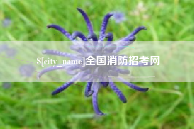 铁岭全国消防招考网