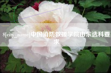 铁岭中国消防救援学院山东选科要求