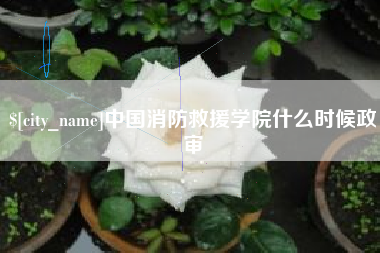 铁岭中国消防救援学院什么时候政审