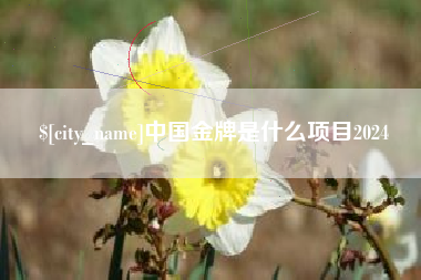 铁岭中国金牌是什么项目2024