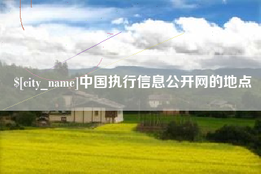 铁岭中国执行信息公开网的地点