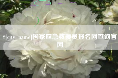 铁岭国家应急救援员报名网查询官网