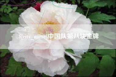 铁岭中国队第八块金牌
