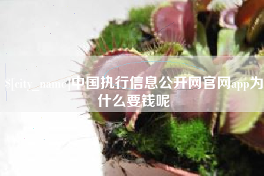 铁岭中国执行信息公开网官网app为什么要钱呢