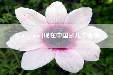 铁岭现在中国哪几个金牌