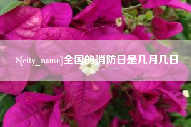 铁岭全国的消防日是几月几日