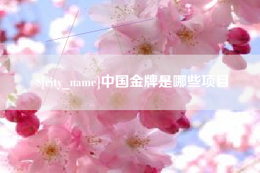 铁岭中国金牌是哪些项目
