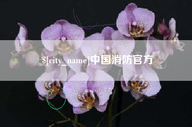 铁岭中国消防官方