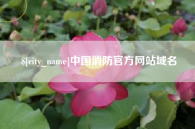 铁岭中国消防官方网站域名