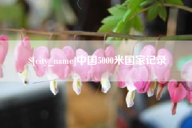 铁岭中国5000米国家记录
