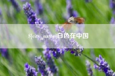 铁岭白色在中国