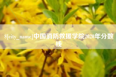 铁岭中国消防救援学院2020年分数线