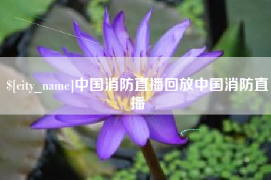 铁岭中国消防直播回放中国消防直播