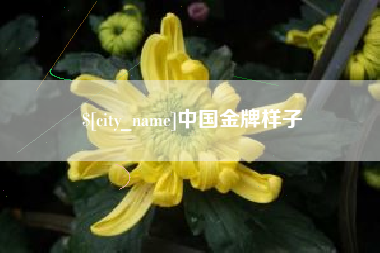 铁岭中国金牌样子
