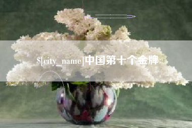 铁岭中国第十个金牌