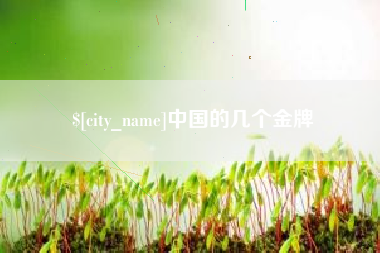 铁岭中国的几个金牌