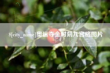 铁岭奥运夺金时刻九宫格图片