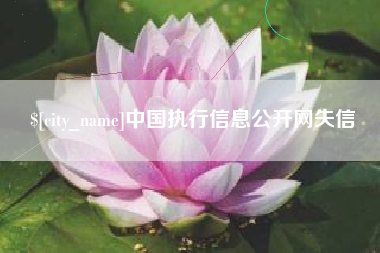 铁岭中国执行信息公开网失信