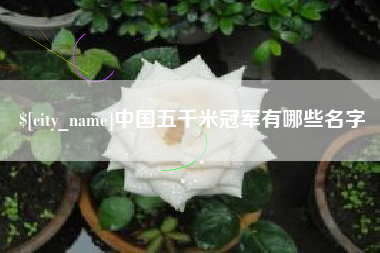 铁岭中国五千米冠军有哪些名字