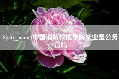 铁岭中国消防救援学院毕业是公务员吗