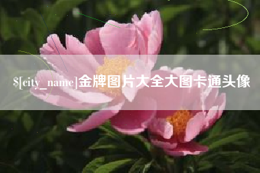 铁岭金牌图片大全大图卡通头像