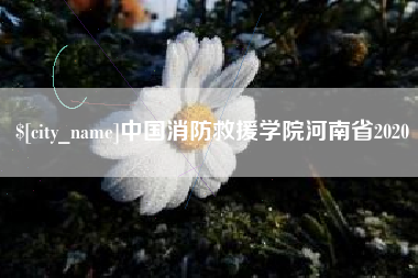 铁岭中国消防救援学院河南省2020